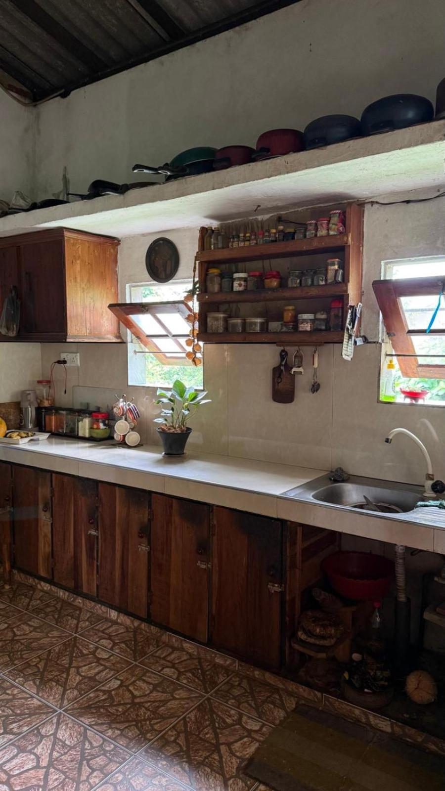 كالي Green House المظهر الخارجي الصورة