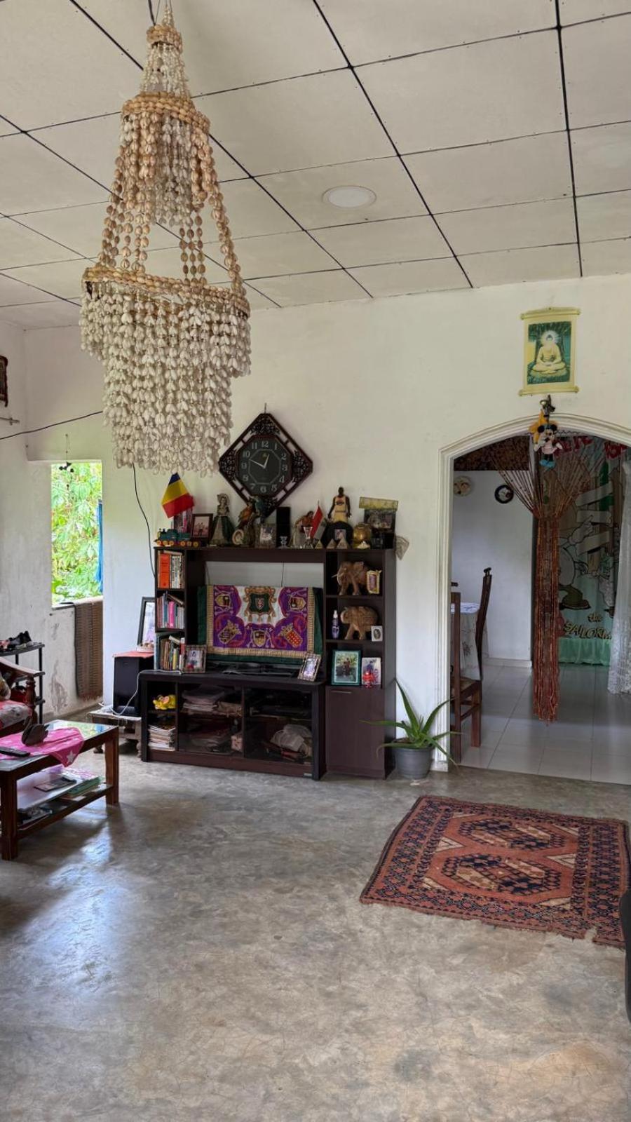 كالي Green House المظهر الخارجي الصورة